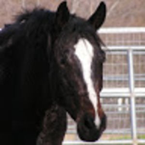 Meet your Posher, Mackinzye